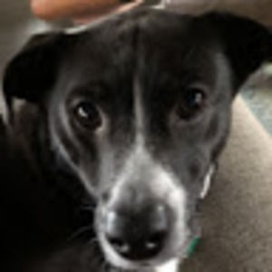 Meet your Posher, Camryn